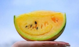 从吃瓜开始吃过哪些瓜,盘点我吃过的那些瓜