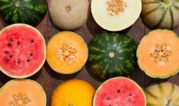 世界赛吃瓜,吃瓜群众视角下的电竞盛宴