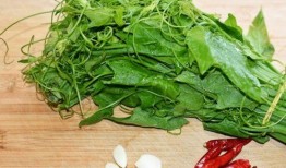 洋瓜尖吃不起,揭秘昂贵美食背后的消费之谜