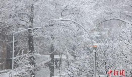 纽约吃瓜群众大雪,大雪席卷城市，街头巷尾尽成冰雪乐园！