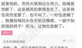 吃瓜搞笑短文大全图片,吃瓜搞笑短文精选集锦