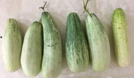 伪装吃瓜人,揭秘娱乐圈幕后真相