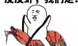 吃瓜搞笑套路视频,笑料百出！揭秘吃瓜搞笑套路视频背后的欢乐秘密