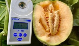 今日吃瓜精选合集