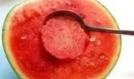 吃瓜秘笈,吃瓜秘笈大公开