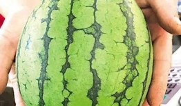 青岛地铁吃瓜墙在线吃瓜