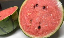 手机壁纸用心吃瓜