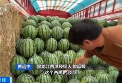 荔枝湾吃瓜,品味传统与休闲的完美融合