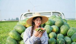 向往吃瓜,跟随“向往吃瓜”探寻明星幕后故事