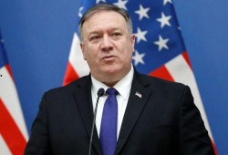 吃瓜罗伯特锐评,揭秘娱乐圈背后的真相与内幕