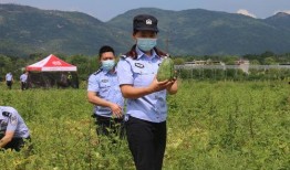 警花在线吃瓜,揭秘网络热点背后的真相