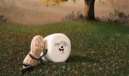 吃土瓜会放屁,土瓜美食背后的“放屁”秘密