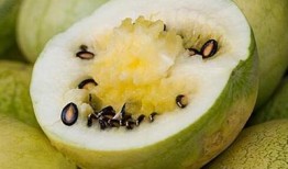 吃瓜先吃中心还是,揭秘娱乐圈幕后真相