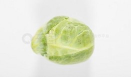 吃瓜照片调色,揭秘照片调色背后的艺术魅力