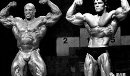 健美圈事件吃瓜,揭秘背后真相与争议