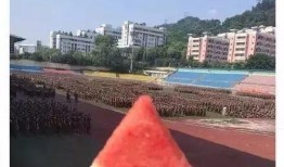 学姐吃瓜吗,揭秘校园八卦风云