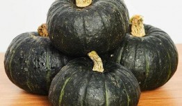 贝贝瓜半熟可以吃吗,贝贝瓜半熟状态是否安全食用揭秘