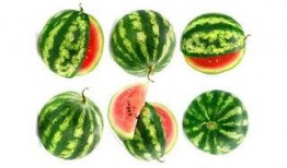 农场妇女吃瓜,西瓜盛宴