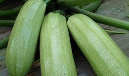 九九在线吃瓜,揭秘娱乐圈幕后故事