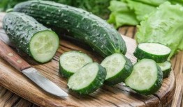 吃瓜人体改造pdf,探索人体极限的神秘之旅