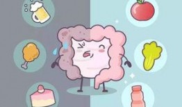 吃土瓜会放屁,土瓜美食背后的“放屁”秘密