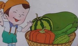 愚人吃瓜的思考,揭秘网络谣言背后的真相与反思