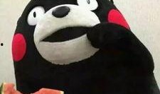 鳄鱼吃瓜表情包