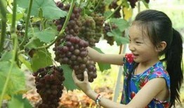 乐海吃瓜,揭秘娱乐圈那些不为人知的幕后故事