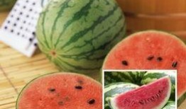 五二吃瓜,揭秘娱乐圈那些不为人知的幕后故事