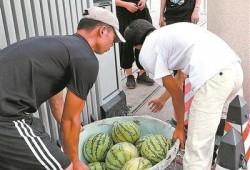 江苏农林吃瓜,吃瓜群众的田园生活