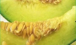 孩子天天吃哈密瓜