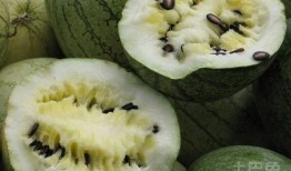 孕妇梦见吃黄籽瓜,黄籽瓜的寓意与启示