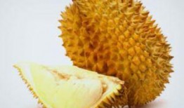 吃榴莲瓜吗,独特的热带水果，你敢尝试吗？