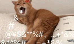 吃瓜搞笑沙雕,沙雕搞笑，吃瓜群众欢乐多