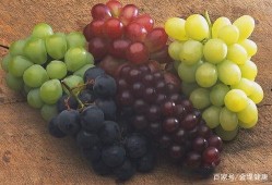 吃葡萄加瓜文案,探寻吃葡萄加瓜的独特风味