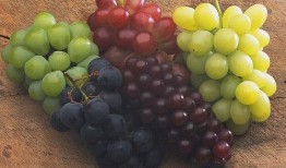 吃葡萄加瓜文案,探寻吃葡萄加瓜的独特风味