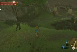 塞尔达 吃瓜npc,荒野之息中的神秘吃瓜NPC揭秘！