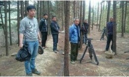 东北专业团队吃瓜群众