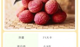 荔枝吃瓜小说全文阅读