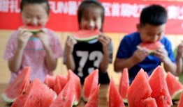 山东滨州吃瓜,品味山东特色，畅享清凉时光