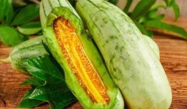 吃的瓜发苦,探寻“吃的瓜发苦”的成因与应对