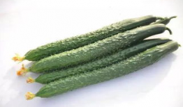 吃瓜群众黄瓜露脸照片,黄瓜露脸照引网友热议