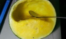 美圈吃瓜改造,娱乐圈幕后真相大曝光