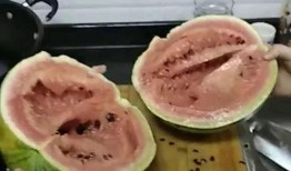 吃瓜花10块,揭秘美食背后的故事