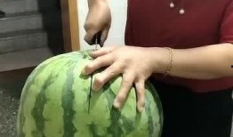 吃瓜花10块,揭秘美食背后的故事