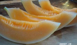 吃蜜瓜 新疆歌曲,品鉴吃蜜瓜歌曲的魅力