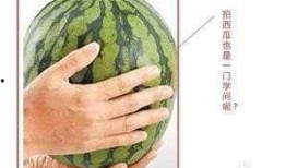 吃瓜傻西瓜,揭秘瓜界奇闻轶事