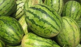 徽县吃瓜事件,一场网络热议背后的真相探寻