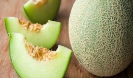 打了狂犬吃哈密瓜,一场意外的味蕾冒险