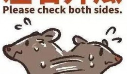 忙的和吃瓜,轻松一隅